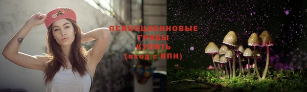 таблы Лабытнанги